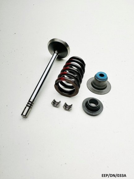 Exhaust Valve Kit for Dodge Durango Dakota HB DN 4.7 2000-2007 EEP/DN/033A