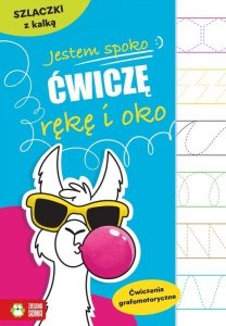 Szlaczki z kalką Jestem spoko Ćwiczę rękę i oko
