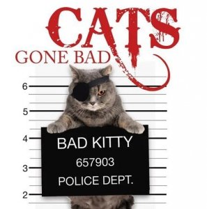Cats Gone Bad