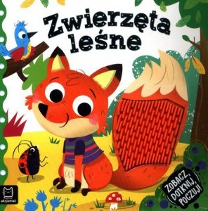 Zobacz dotknij poczuj! Zwierzęta leśne