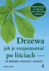 Drzewa. Jak je rozpoznawać po liściach wyd. 2026