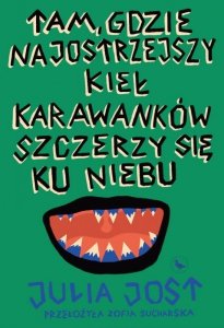 Tam, gdzie najostrzejszy kieł Karawanków szczerzy się ku niebu