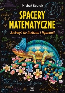 Spacery matematyczne. Zachwyć się liczbami i figurami!