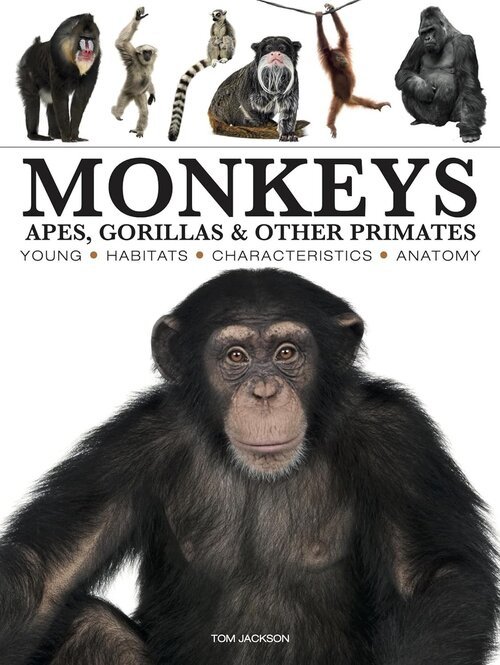 Monkeys: Apes, Gorillas &amp; Other Primates