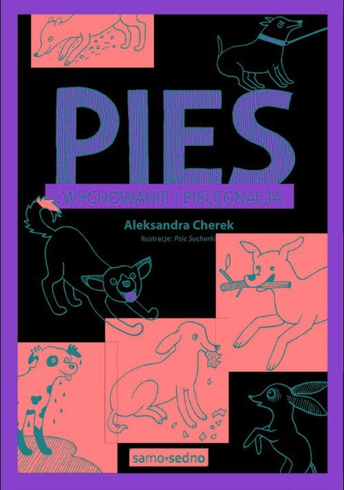 Pies Wychowanie i pielęgnacja