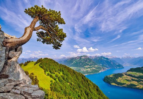 Puzzle View of the Lake of Uri, Switzerland 1000