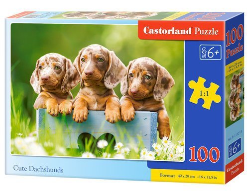 Puzzle Cute Dachshunds 100
