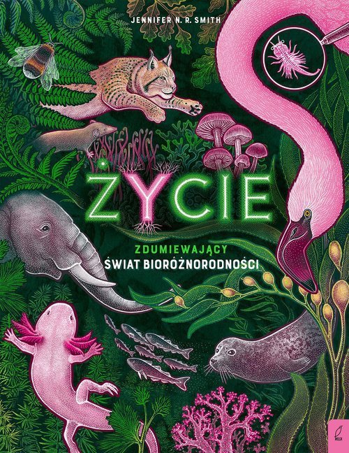 Życie Zdumiewający świat bioróżnorodności