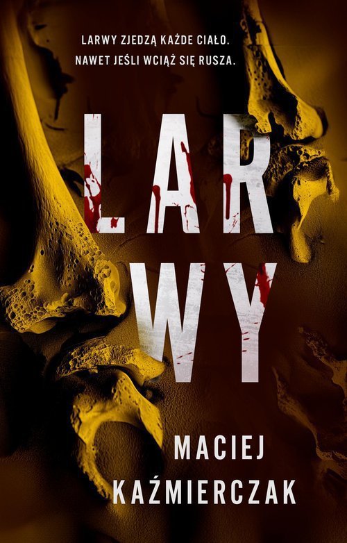 Larwy