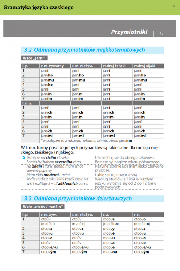 Gramatyka języka czeskiego z praktycznymi przykładami