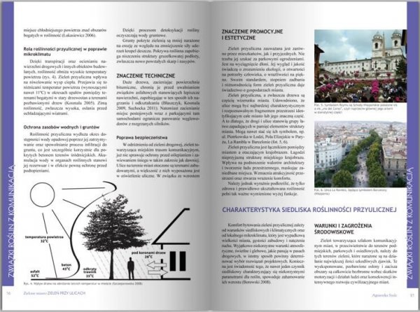 Zielone Miasto. Zieleń Przy Ulicach 