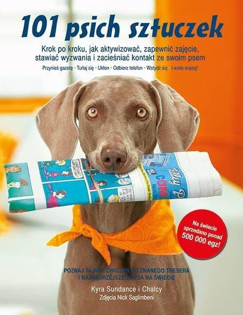 101 psich sztuczek krok po kroku