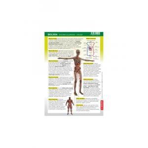 Karta edukacyjna. Biologia - Budowa Człowieka. Układy