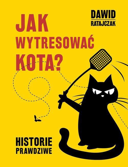Jak wytresować kota? Historie prawdziwe