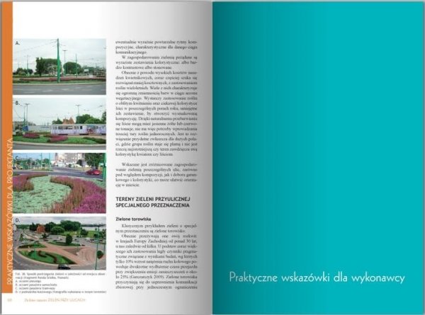 Zielone Miasto. Zieleń Przy Ulicach 