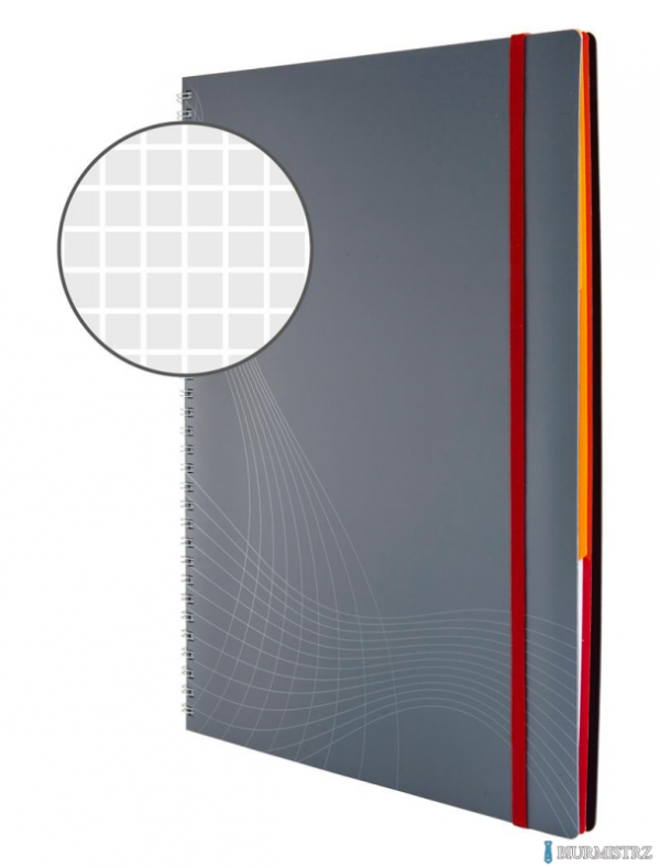 Kołonotatnik_Notizio 7017 A4 kratka 90 kartek oprawa - tworzywo sztuczne, szary, Notizio by Avery Zweckform