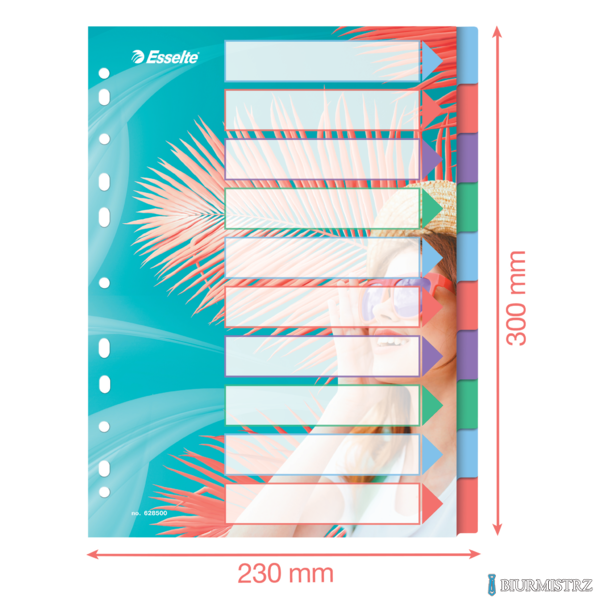 Przekładki Colour Breeze PP A4, 10 przekładek Esselte 628500