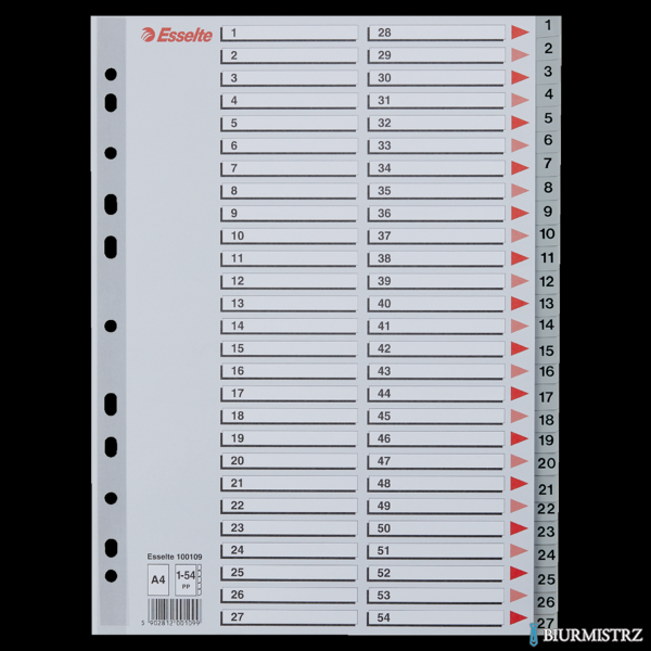 Przekładki plastikowe numeryczne A4 1-54 szare ESSELTE 100109