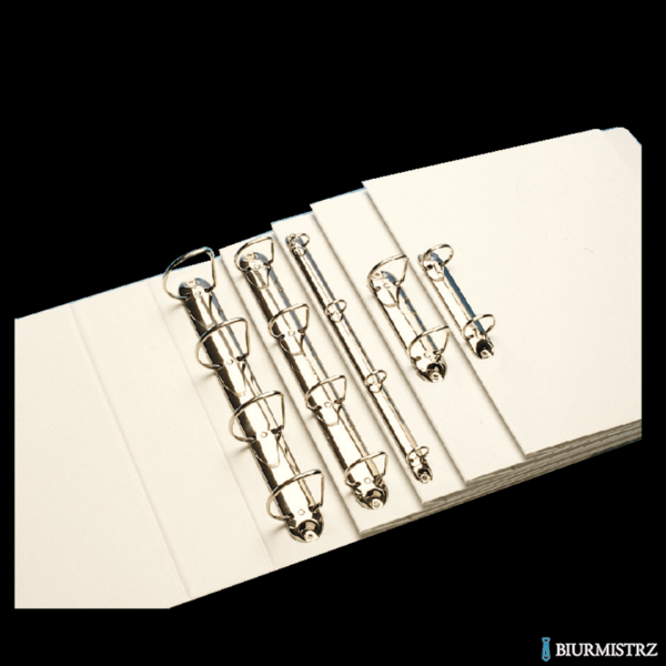 Segregator PANORAMA A4+ 4DR/50 77mm biały ofertowy LEITZ 42870001
