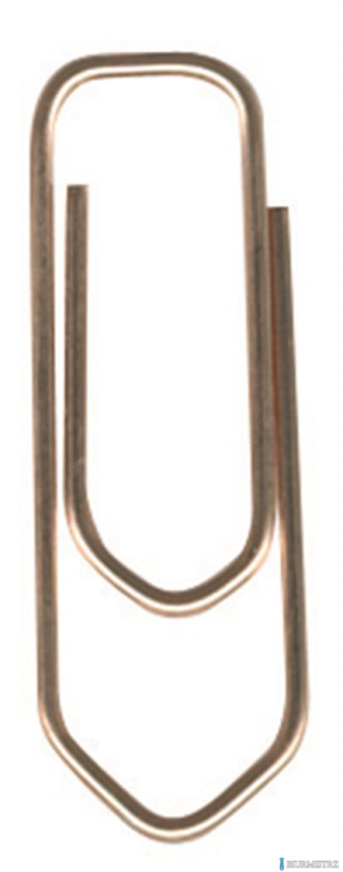 Spinacze 32 mm, miedziowane (100szt.) 120824 DURABLE