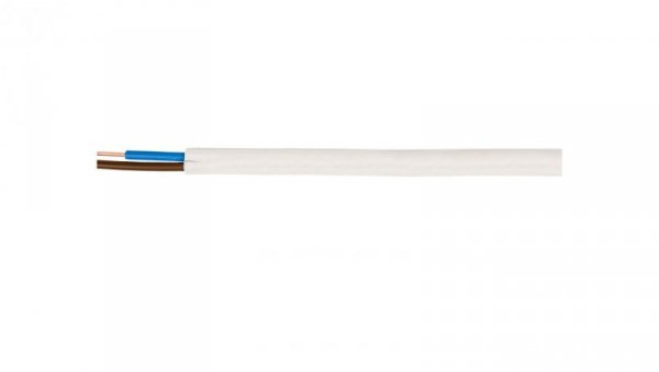 Przewód YDYp 2x4 450/750V /100m/