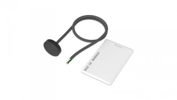 Czytnik i karta RFID kabel 40cm Teltonika 1-Wire RFID