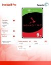 Seagate Dysk IronWolfPro 6TB 3.5 256MB ST6000NT001