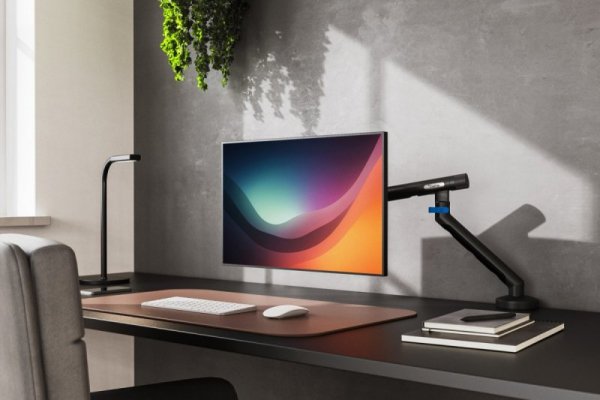 Digitus Ramię biurkowe pojedyncze z zaciskiem i sprężyną mechaniczną 1x LCD max. 35" 10kg, VESA: 75x75, 100x100, czarne