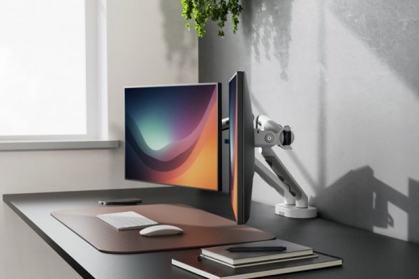 Digitus Ramię biurkowe podwójne z zaciskiem i sprężyną mechaniczną 2x LCD max. 35" obciążenie 2x10kg, VESA: 75x75, 100x100,