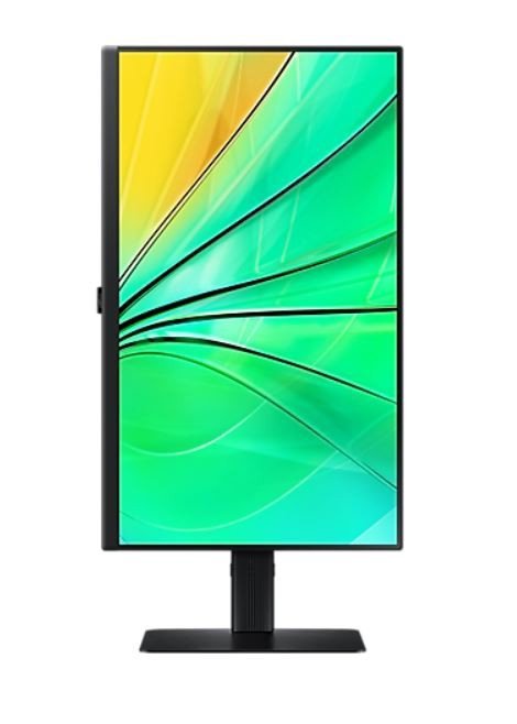 Samsung Monitor 24 cale ViewFinity S60D IPS 2560x1440 WQHD 16:9 1xHDMI 1xDP 3xUSB 3.0 5ms PinP/PbyP 100Hz HAS+PIV płaski 3YOn-Si