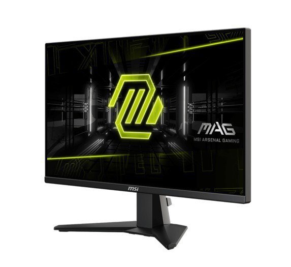 MSI Monitor MAG 255XF 24.5 cala/LED/FHD/Flat/300Hz/Black