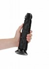 Curved Realistic Dildo with Suction Cup - 10/ 25,5 cm