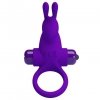 PRETTY LOVE - VIBRANT PENIS RING I Purple