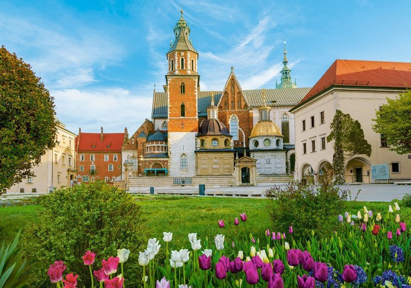Puzzle Zamek Wawel Castorland 500el 2