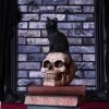 Czaszka i Kot Czarownicy Familiar Fate od Nemesis Now - figurka dekoracyjna
