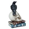 Kruk siedzący na czaszce i książkach - figurka dekoracyjna