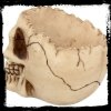 gadżety z czaszkami: popielniczka w kształcie czaszki
