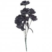 Czarne Róże - bukiet 6 sztuk