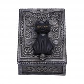 Magiczny Kot Familiar Spell - szkatułka z kotem