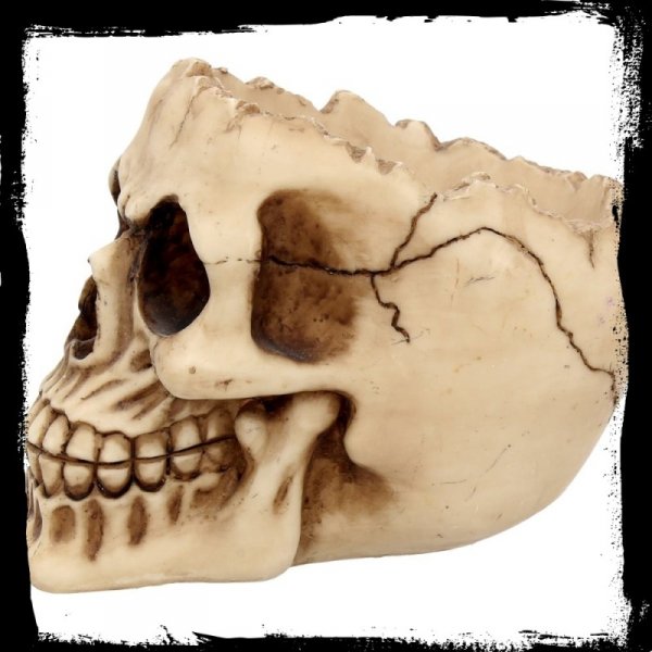 gadżety z czaszkami: popielniczka w kształcie czaszki