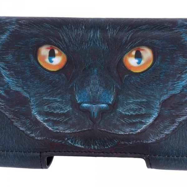 Kot Strażnik &quot;Guardian Cat&quot; Lisa Parker - portfel z magicznym czarnym kotem