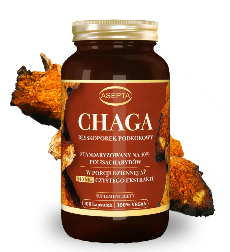 Chaga 100 kapsułek