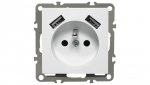 QUADRA GNIAZDKO Z BOLCEM 2X USB DO RAMEK 230V 2.1A