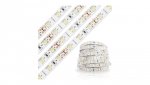 Taśma LED Pasek 12V 24W 300LED 2835 Zimna 8mm 5m