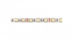 Taśma Flash 72W 900lm/m 6500K 300LED IP65 wodoodporna 10mm Rolka 5m 12V LD-5050-300-65-ZB