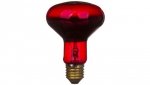 Promiennik podczerwieni E27 75W R80RB do terrarium PRO-1466