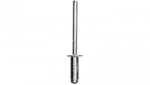 Nity aluminiowe 4,8x12,5mm 43E503 /50szt/