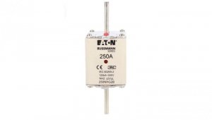 Wkładka bezpiecznikowa NH2 250A gL/gG 500V 250NHG2B