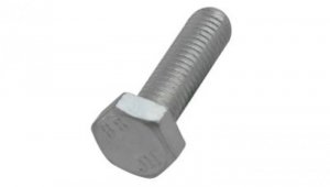 BIS Śruba z łbem sześciokątnym M10x30mm 6143930