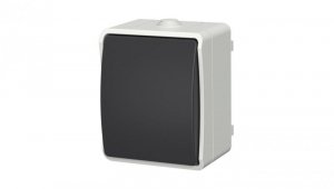 Łącznik pojedynczy uniwersalny natynkowy Aqua Plus IP54 szaro grafitowy 40110